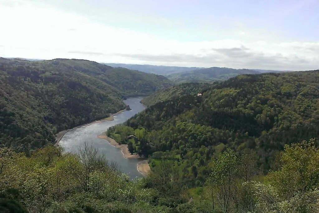 La Chapelle-d'Aurec Pialous:Chalet En Rondins Avec Espace Detenteヴィラ フランス